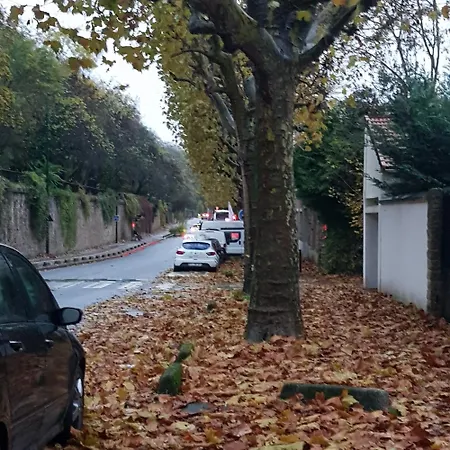 Channel Saint-Maurice (Val-de-Marne)