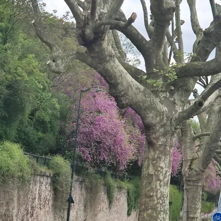 Апартаменты Channel *